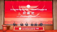 文化和旅逛部副部长、国度文物局局长